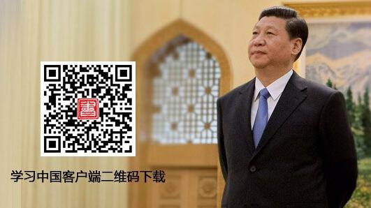 政府APP建設